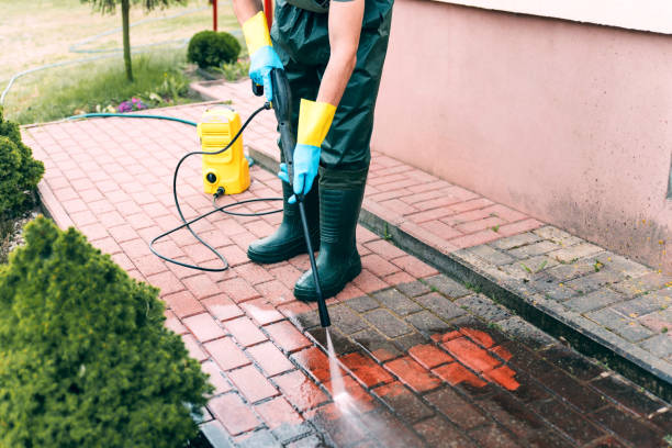 Best Pool Deck Cleaning  in Alice, TX